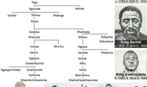 mngxongo family tree|Xhosa clan names .